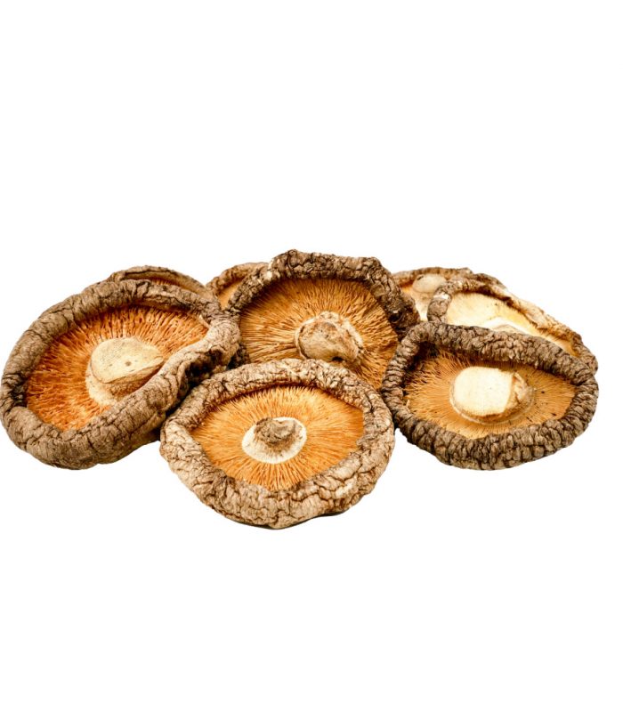 shiitake shiitake